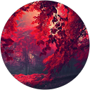 Lea Š. profile picture